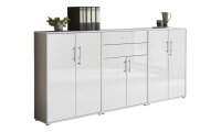 Aktenschrank TABOR 15 in lichtgrau / weiß...