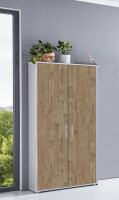 Aktenschrank TABOR breit / hoch in lichtgrau / Gold...