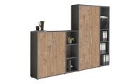 Aktenschrank TABOR 4 in anthrazit / Gold Harbor Oak,...
