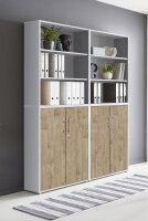 Aktenschrank TABOR 11 in lichtgrau / Gold Harbor Oak, Schrankwand, Büroschrank, abschließbar, Metallgriffe