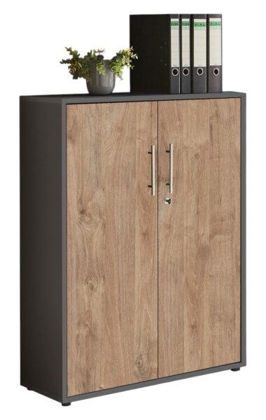 Aktenschrank TABOR niedrig in anthrazit / Gold Harbor Oak