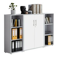 Aktenschrank TABOR 2 in lichtgrau / weiß matt,...