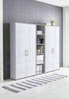Aktenschrank TABOR 10 in lichtgrau / weiß Hochglanz, Schrankwand, Büroschrank, abschließbar, Metallgriffe