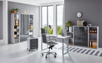 Büromöbel-Set TABOR 5 Arbeitszimmer...