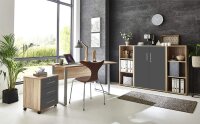 Büromöbel-Set TABOR 2 in Eiche Sonoma / anthrazit matt, Arbeitszimmer Komplett-Set Büro