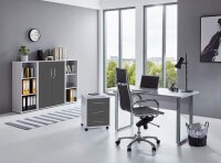 Büromöbel-Set TABOR 2 in lichtgrau / anthrazit matt, Arbeitszimmer Komplett-Set Büro