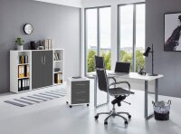 Büromöbel-Set TABOR 2 in weiß / anthrazit matt, Arbeitszimmer Komplett-Set Büro