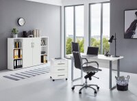Büromöbel-Set TABOR 2 in weiß / weiß matt, Arbeitszimmer Komplett-Set Büro