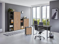 Büromöbel-Set TABOR 4 in anthrazit / Gold Harbor Oak, Arbeitszimmer Komplett-Set Büro