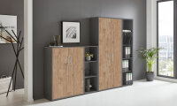 Büromöbel-Set TABOR 4 in anthrazit / Gold Harbor Oak, Arbeitszimmer Komplett-Set Büro