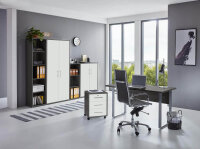 Büromöbel-Set TABOR 4 in anthrazit / weiß matt, Arbeitszimmer Komplett-Set Büro