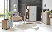 Büromöbel-Set TABOR 4 in Eiche Sonoma / lichtgrau, Arbeitszimmer Komplett-Set Büro