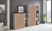 Büromöbel-Set TABOR 4 in lichtgrau / Gold Harbor Oak, Arbeitszimmer Komplett-Set Büro
