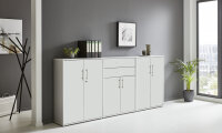 Aktenschrank TABOR 15 in lichtgrau / weiß matt, Schrankwand, Büroschrank, abschließbar, Metallgriffe