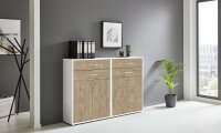 Aktenschrank TABOR 17 in weiß / Gold Harbor Oak,...