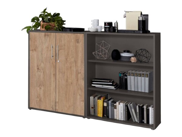 anthrazit / Gold Harbor Oak