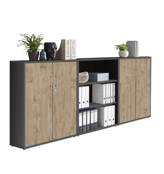 anthrazit / Gold Harbor Oak