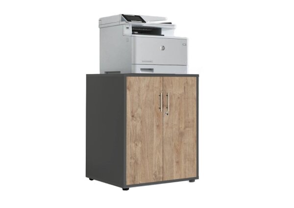 anthrazit / Gold Harbor Oak