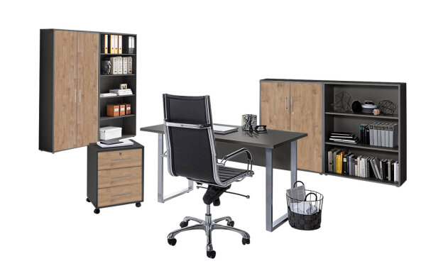 anthrazit / Gold Harbor Oak